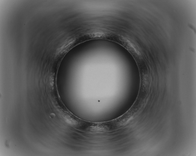 X0000096380545200801311301