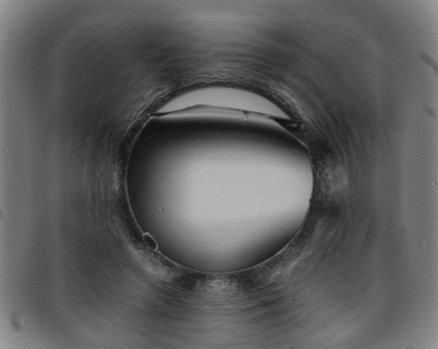 X0000096380546200801311301