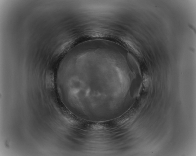 X0000096380547200801311301