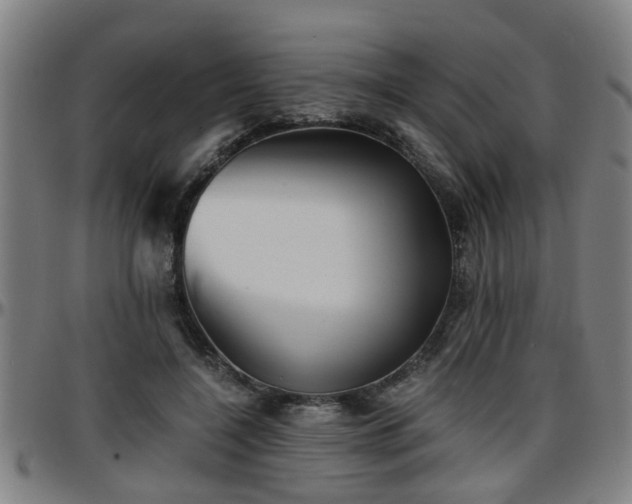 X0000096380548200801311301