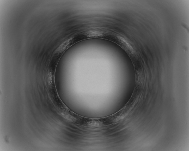 X0000096380549200801311301