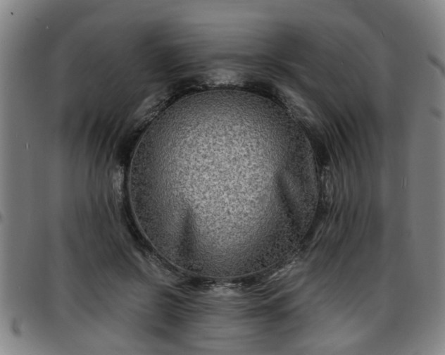 X0000096380550200801311301