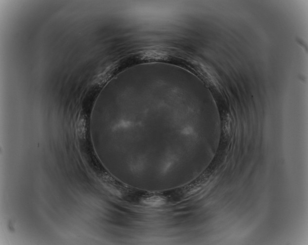 X0000096380551200801311301