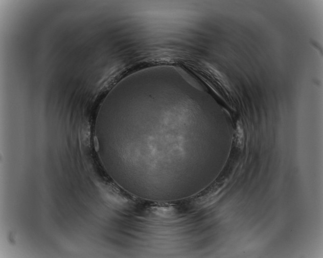 X0000096380552200801311301
