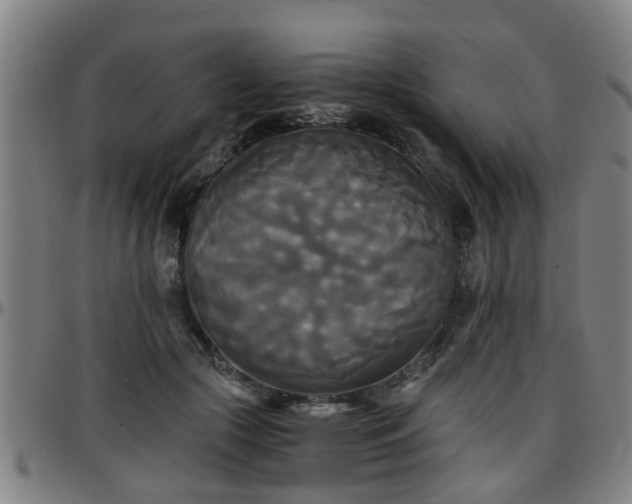 X0000096380553200801311301