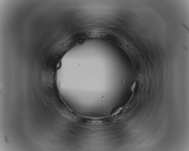 X0000096380554200801311301
