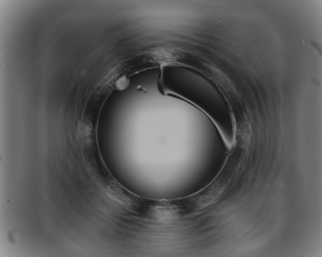 X0000096380556200801311301