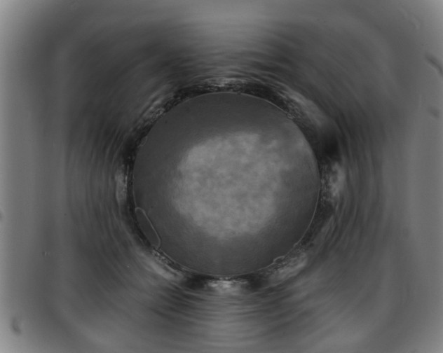 X0000096380558200801311301