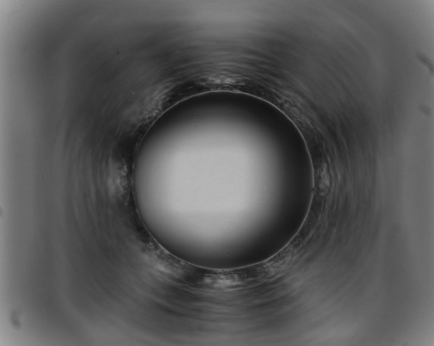 X0000096380559200801311301