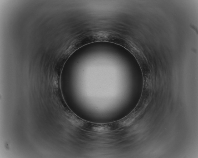 X0000096380561200801311301
