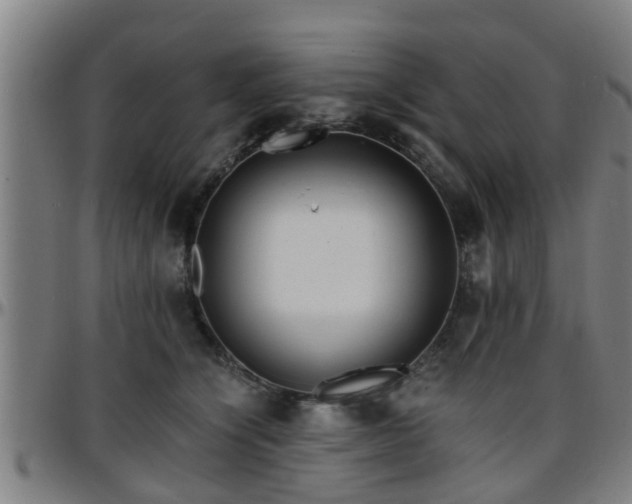 X0000096380564200801311302