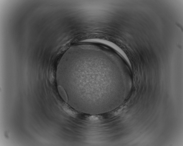 X0000096380566200801311302
