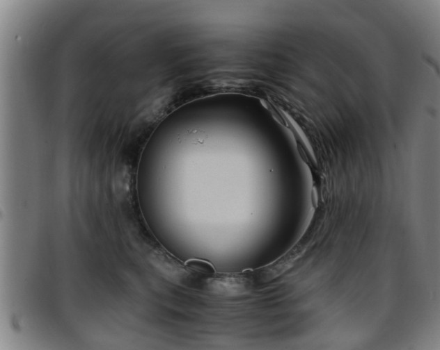 X0000096380567200801311302