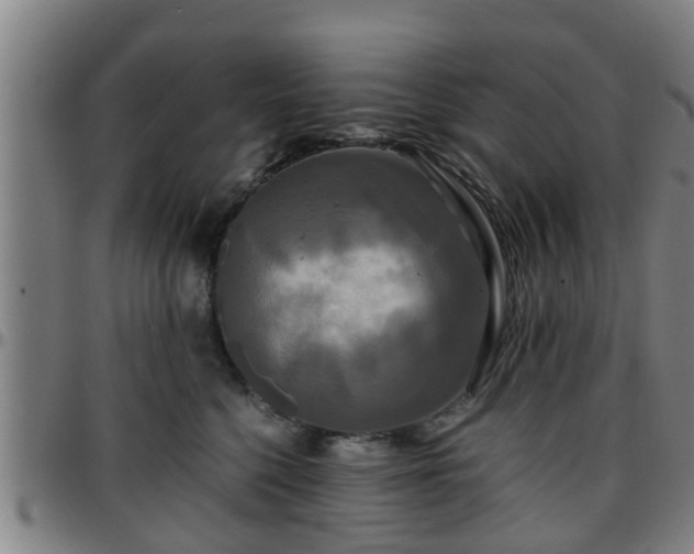 X0000096380568200801311302