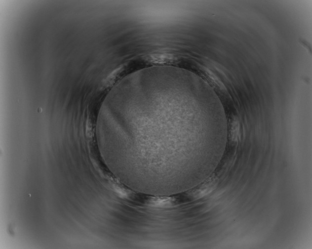 X0000096380569200801311302