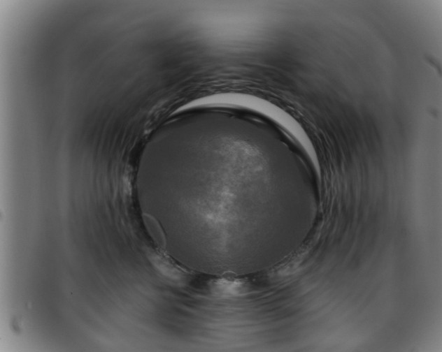 X0000096380570200801311302