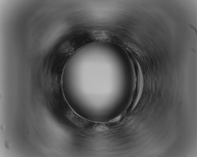 X0000096380572200801311302
