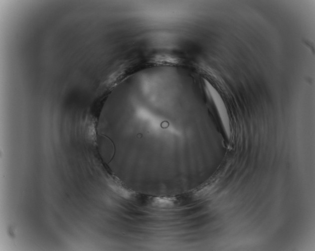 X0000096380573200801311302