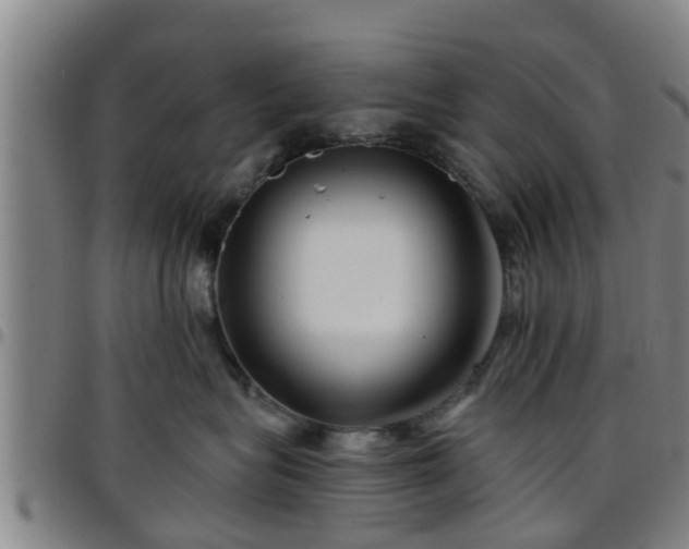 X0000096380575200801311302