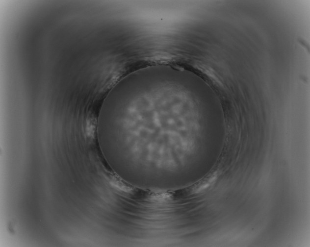 X0000096380576200801311302