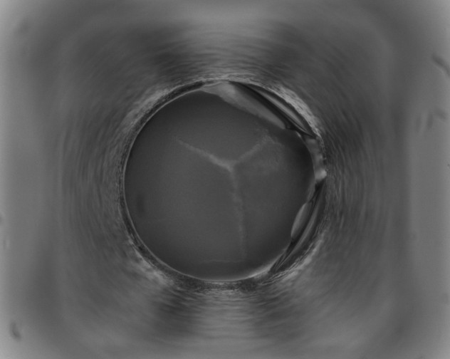 X0000096380577200801311301