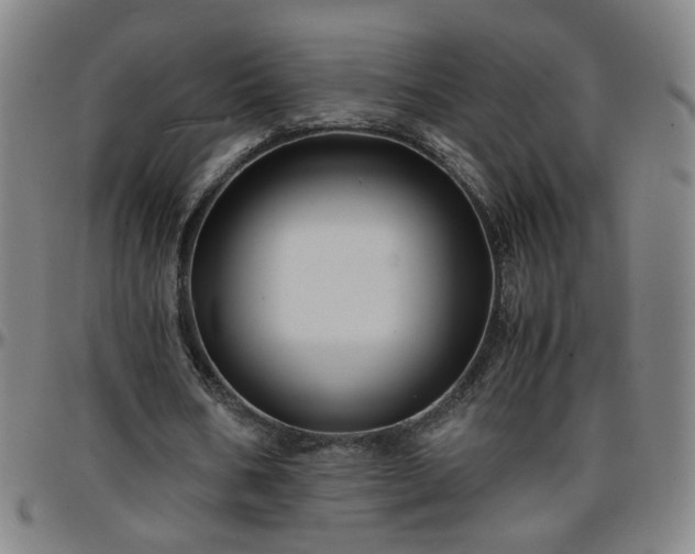 X0000096380578200801311301