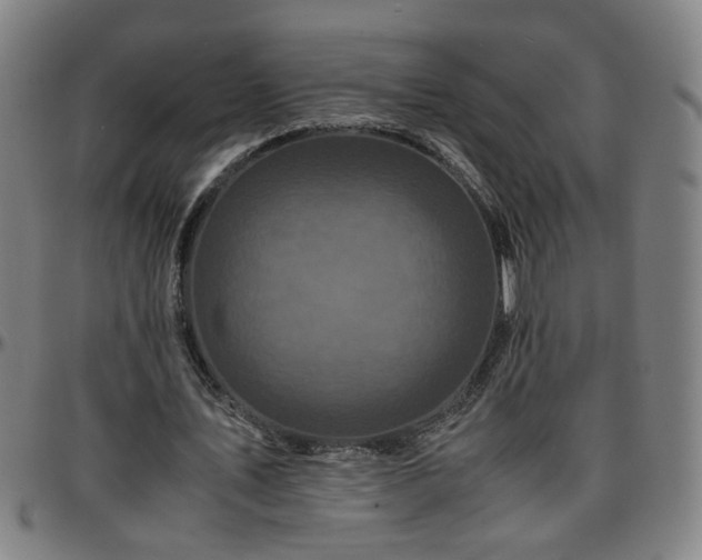 X0000096380579200801311301