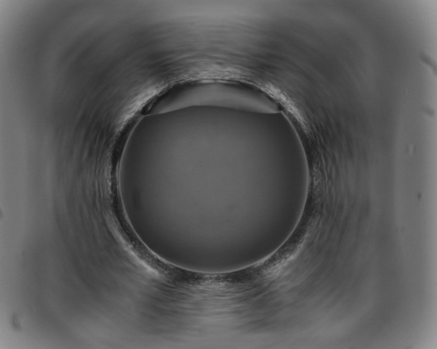 X0000096380581200801311301