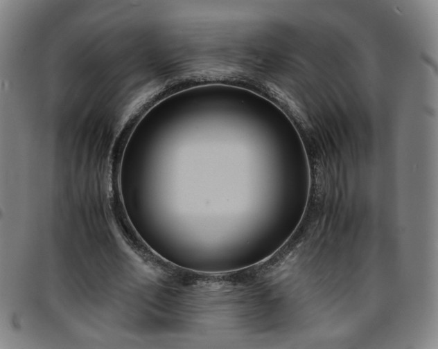 X0000096380582200801311301