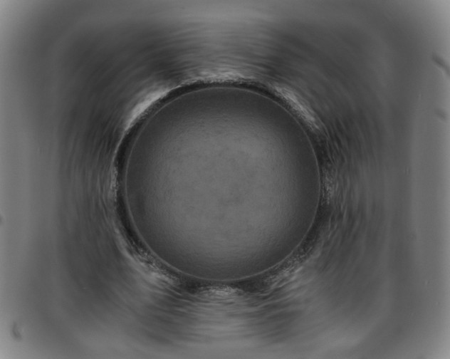 X0000096380583200801311301