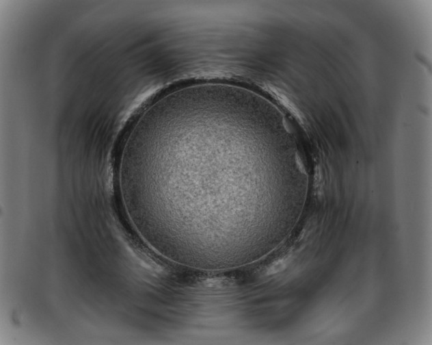 X0000096380584200801311301