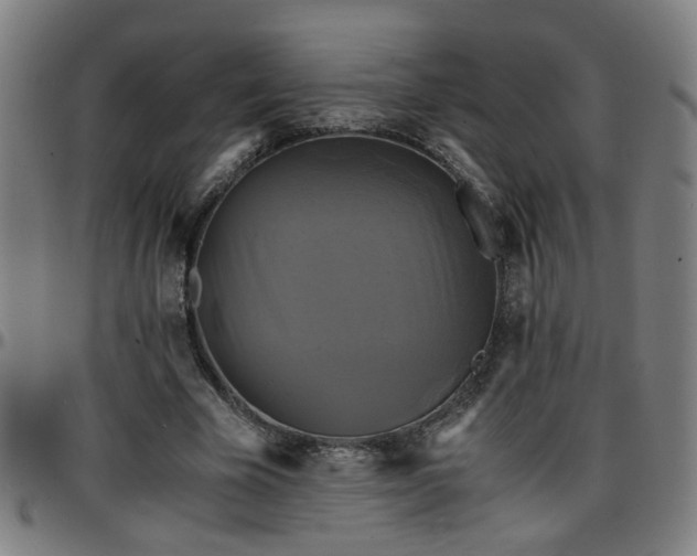 X0000096380585200801311301
