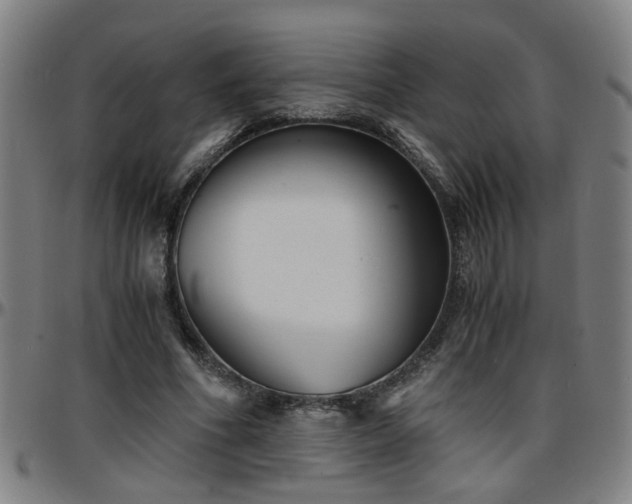 X0000096380586200801311301