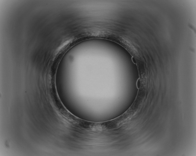 X0000096380587200801311301