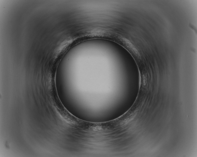 X0000096380588200801311301