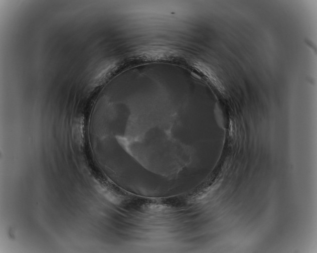 X0000096380590200801311301
