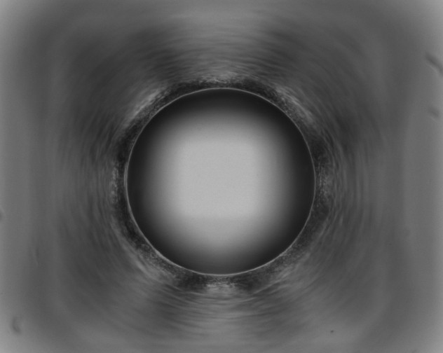 X0000096380591200801311301