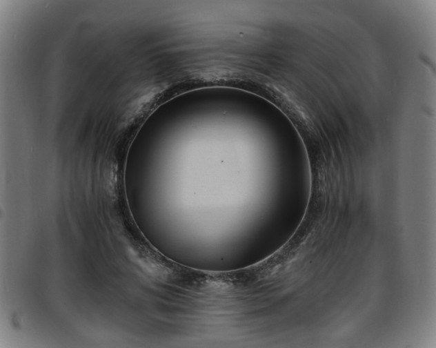 X0000096380592200801311301