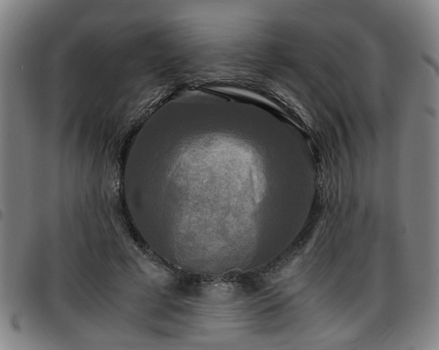 X0000096380593200801311301