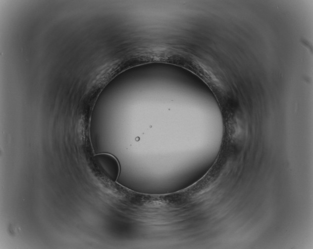 X0000096380594200801311301