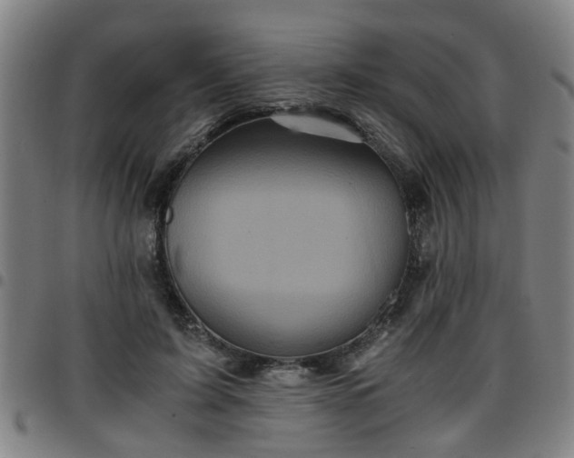 X0000096380595200801311301