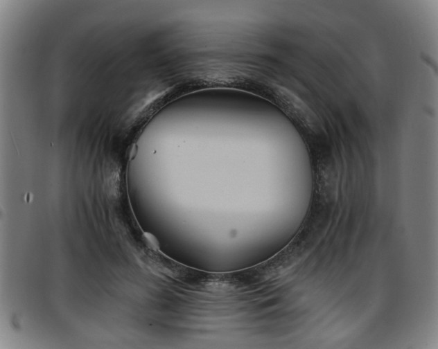 X0000096380596200801311301