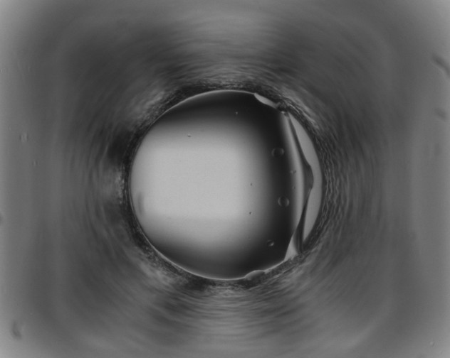 X0000096380597200801311301
