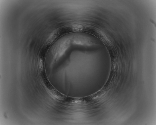 X0000096380598200801311301