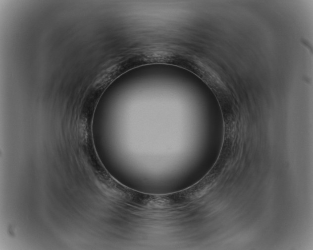 X0000096380599200801311301