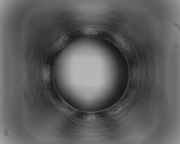 X0000096380600200801311301