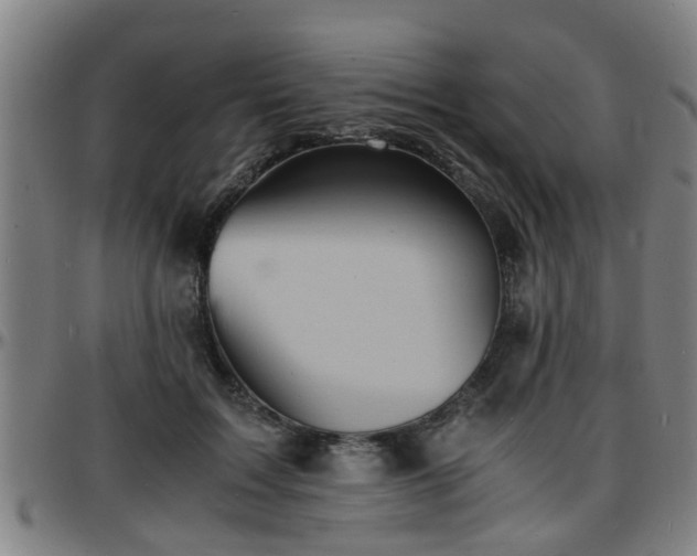 X0000096380603200801311301