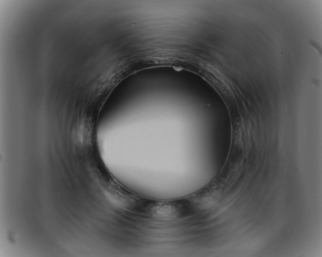 X0000096380604200801311301