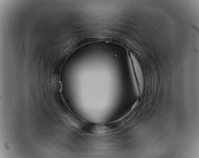 X0000096380605200801311301