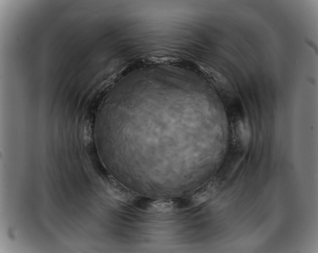 X0000096380606200801311301